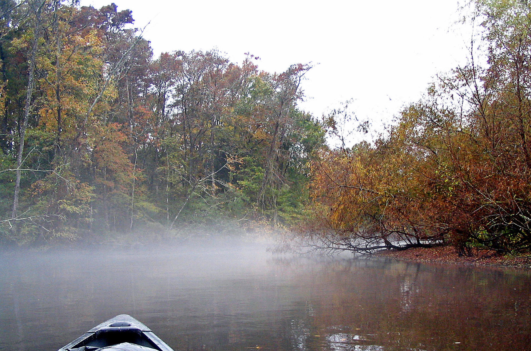Edisto River (copy) (copy) (copy)